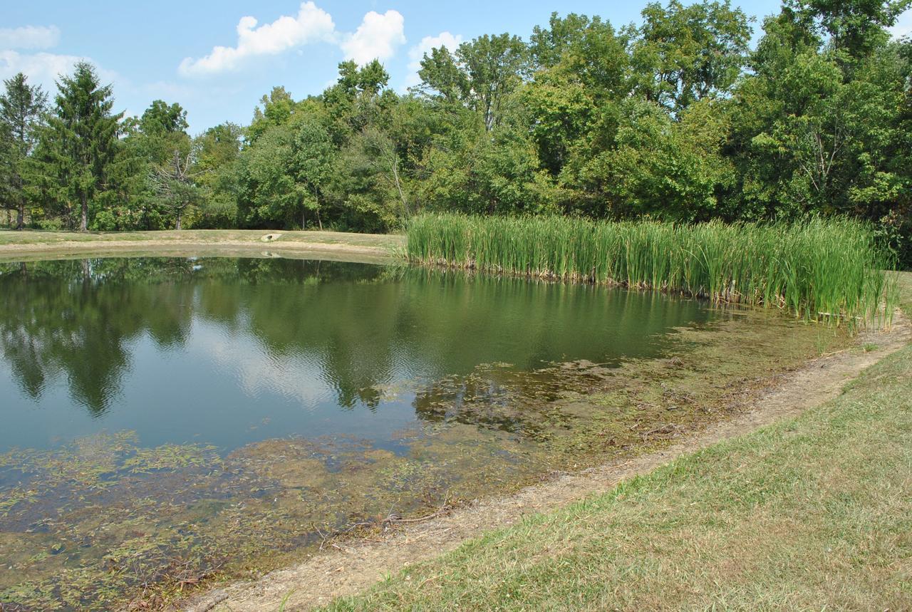 Wilmington Camping Resort Extérieur photo